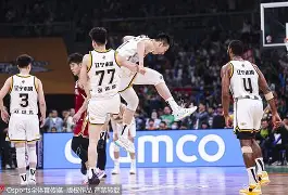 九游官方网站-辽宁队赢没