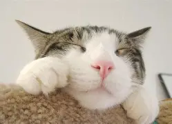 双方备赛提升实力,誓要斗智斗勇什么意思