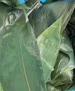 九游官方网站-踏雪乌啼观海啸笔趣阁