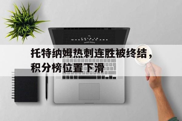 九游官网官方入口-托特纳姆热刺vs