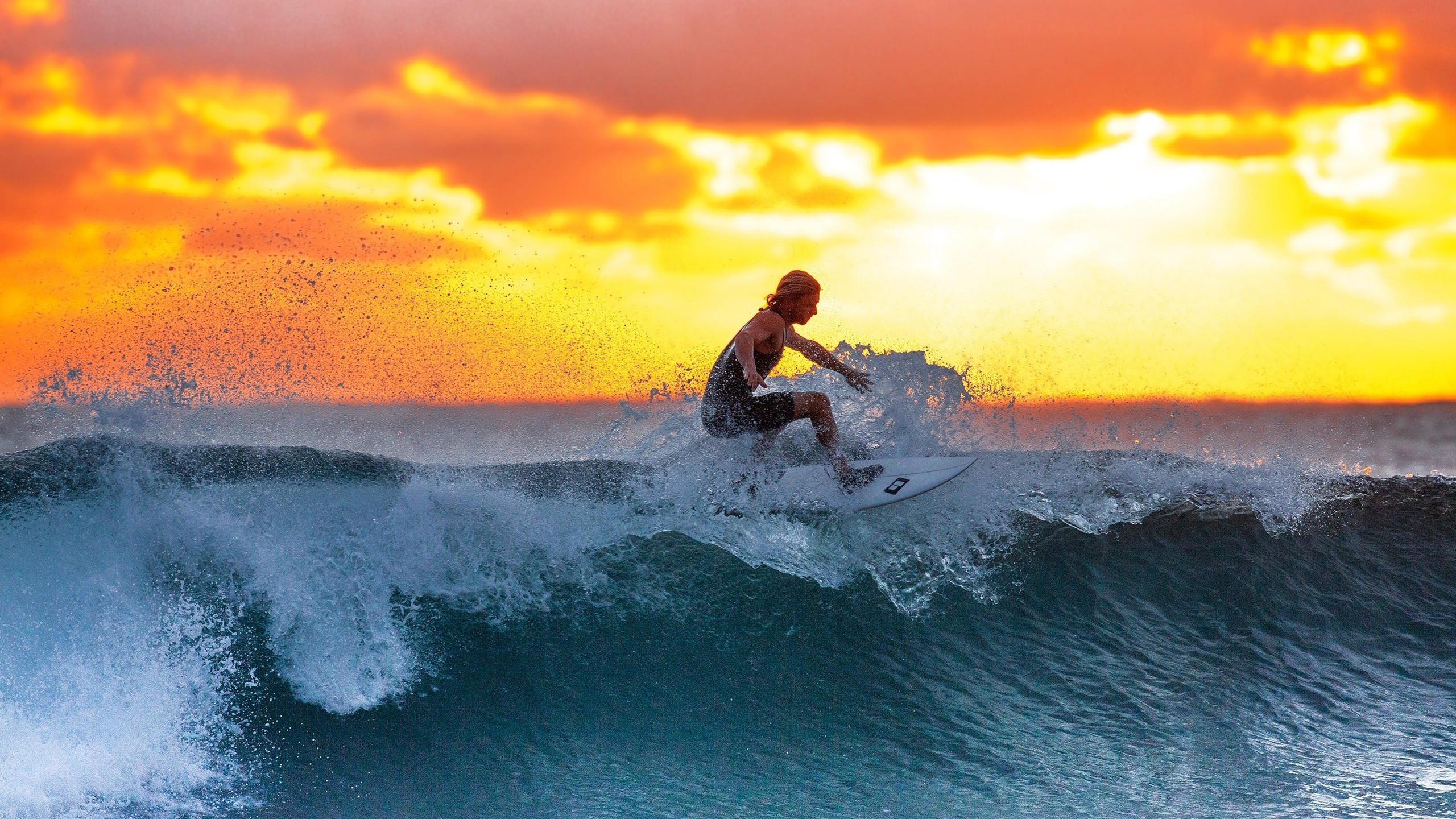 九游体育-科维托娃球队席边的微笑，为何山东总能成为世界网球的焦点？山东为何总能成为世界网球的焦点？科维托娃场边的微笑给出答案